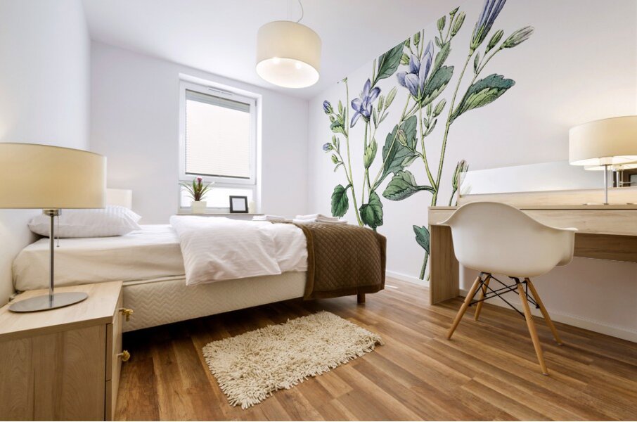 Dalmatian wall campanula flower from Edwards Botanical Register 1829-1847  by Sydenham Edwards John Lindley and James Ridgway. Mural print