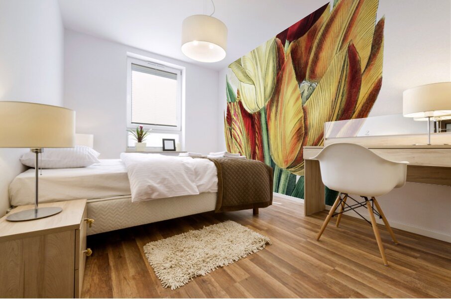 Rough stemmed tulip from Edwards Botanical Register 1829-1847  by Sydenham Edwards John Lindley and James Ridgway. Mural print