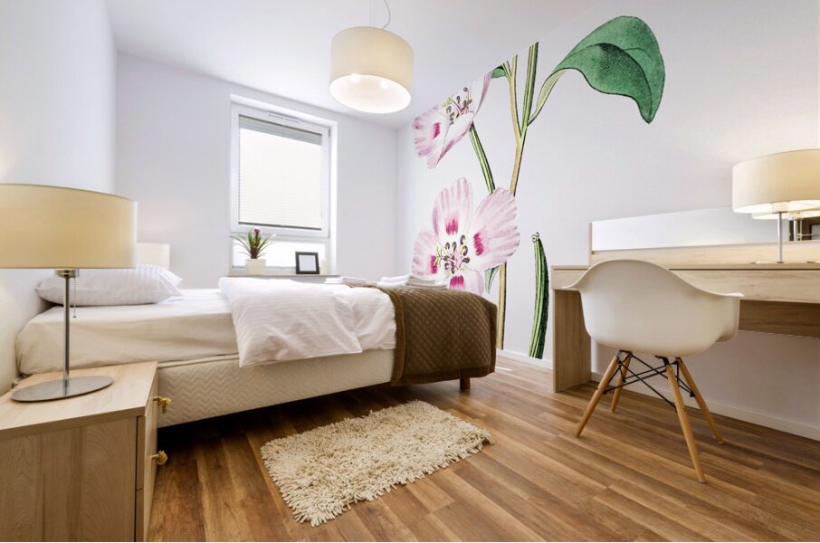 The spotted blush enothera from Edwards Botanical Register 1829-1847  by Sydenham Edwards John Lindley and James Ridgway. Mural print