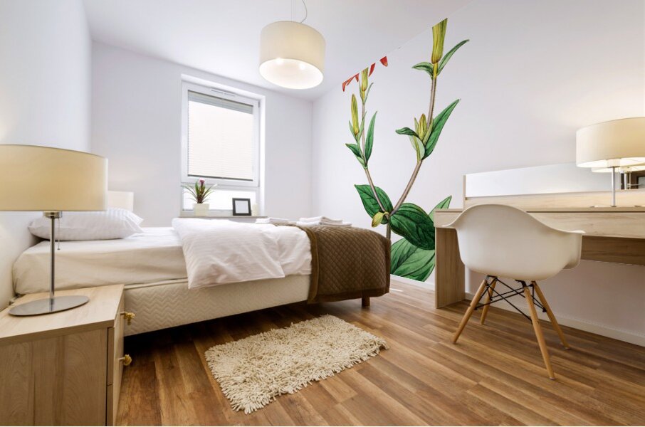 Bunges lychnis flowers from Edwards Botanical Register 1829-1847  by Sydenham Edwards John Lindley and James Ridgway. Mural print