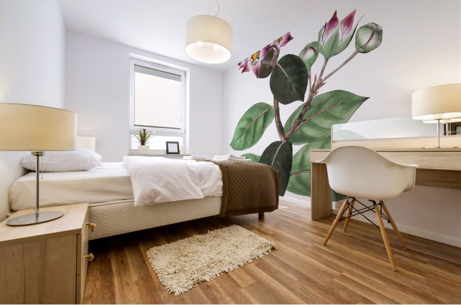 Tall calotropis from Edwards Botanical Register 1829-1847  by Sydenham Edwards John Lindley and James Ridgway. Mural print