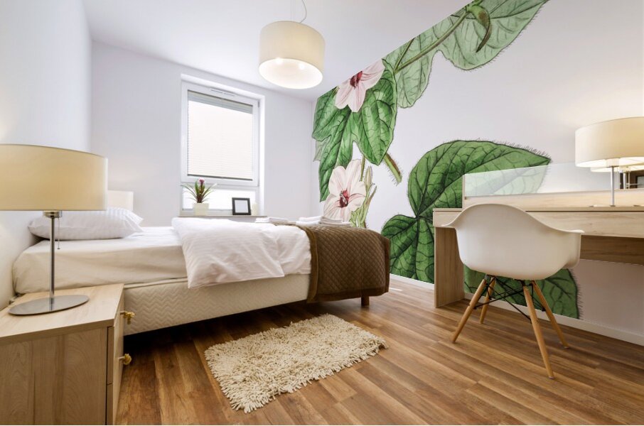 Mr.Aitons ipomoea from Edwards Botanical Register 1829-1847  by Sydenham Edwards John Lindley and James Ridgway. Mural print