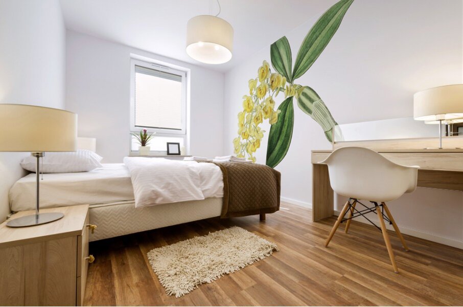 Dense flowered dendrobiumfrom Edwards Botanical Register 1829-1847  by Sydenham Edwards John Lindley and James Ridgway. Mural print