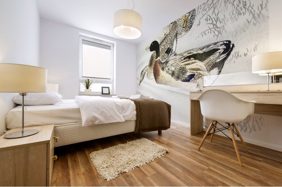 Three ducks in shallow water with reeds 1900 - 1930 by Ohara Koson 1877-1945. Mural print