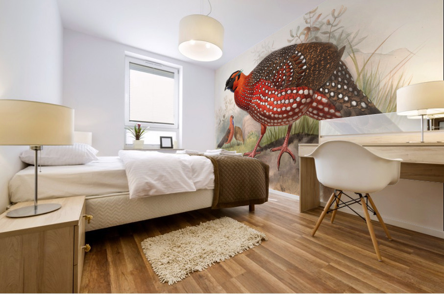 Ceriornis satyra. 1872 Mural print