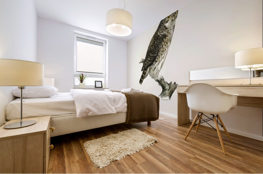 Glaucidium passerinum Mural print