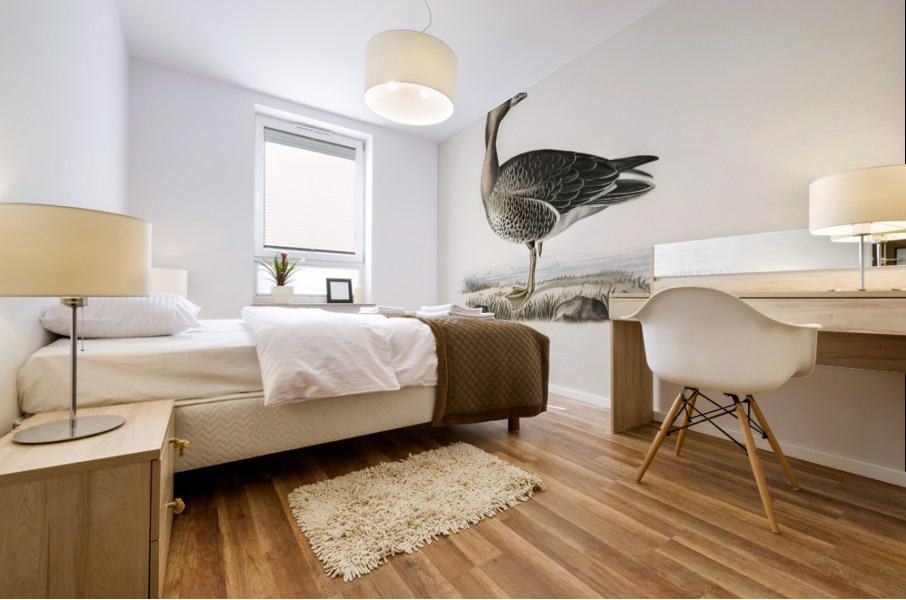 Anser albifrons Mural print