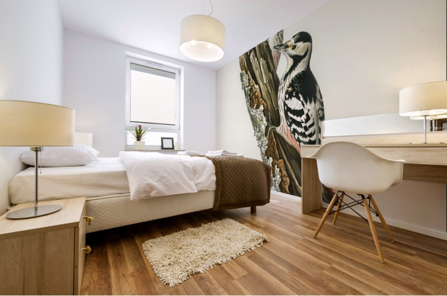 White-backed woodpecker 1♀  2♂ Dryobates leucotus Mural print