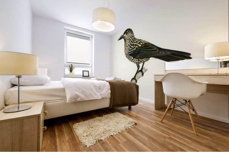 Spotted Nutcracker Nucifraga caryocatactes Mural print