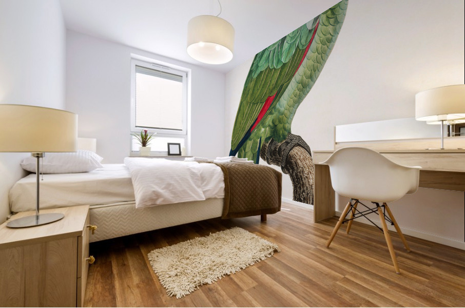 Red-and-blue amazon  Mural print