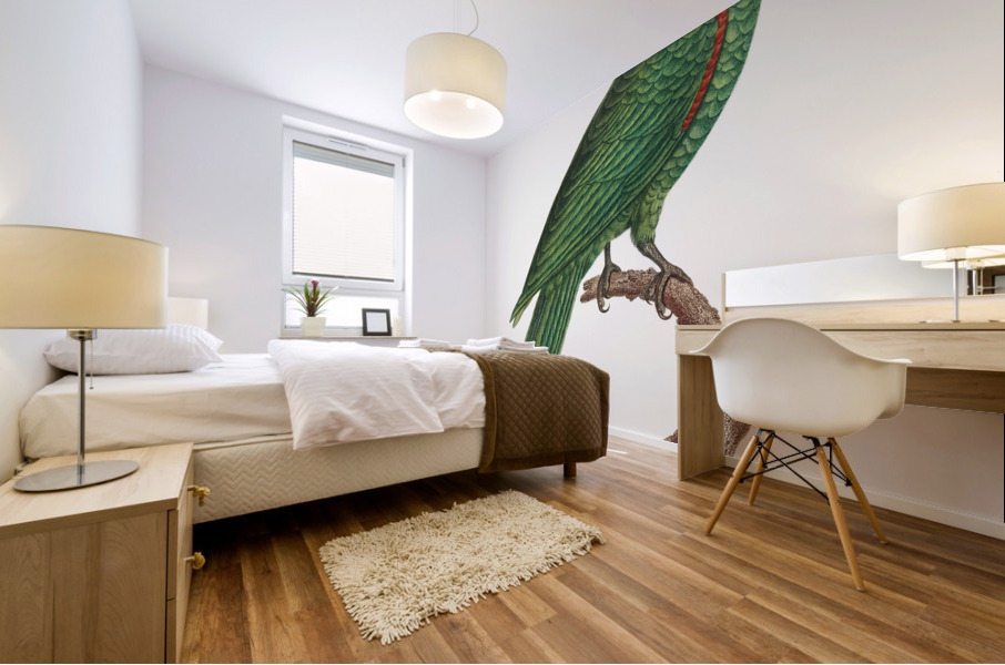 Red-spectacled amazon  Mural print