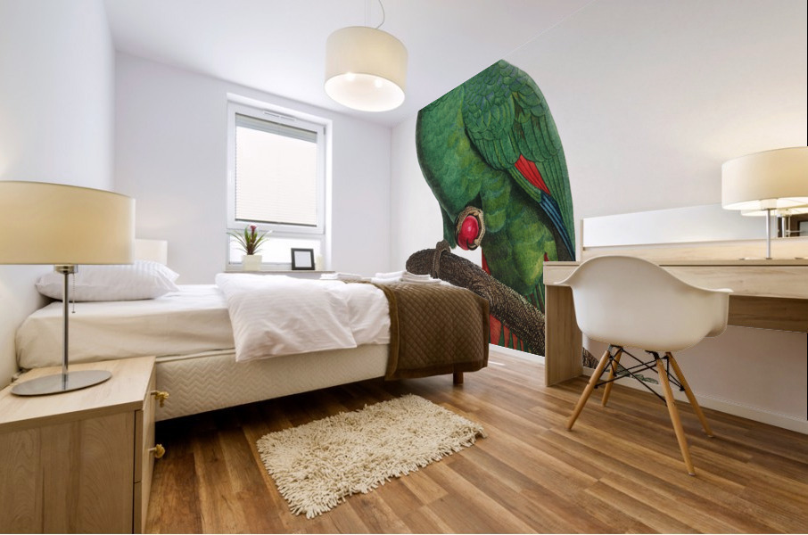 Loro guaro  Mural print