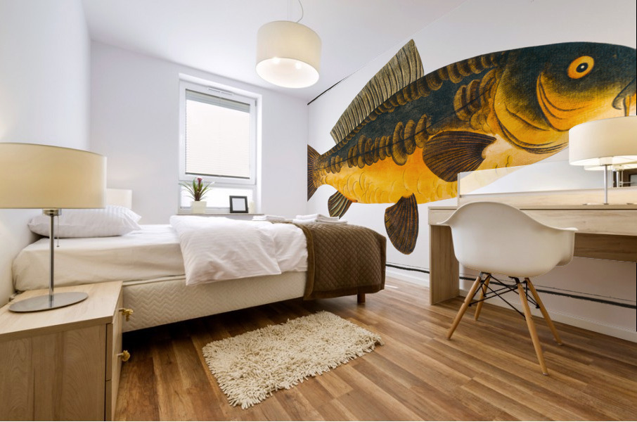 Royal-Carp Rex Cyprinorum Mural print