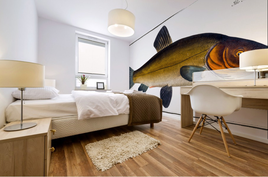 Golden Tench Cyprinus Tinca auratus Mural print