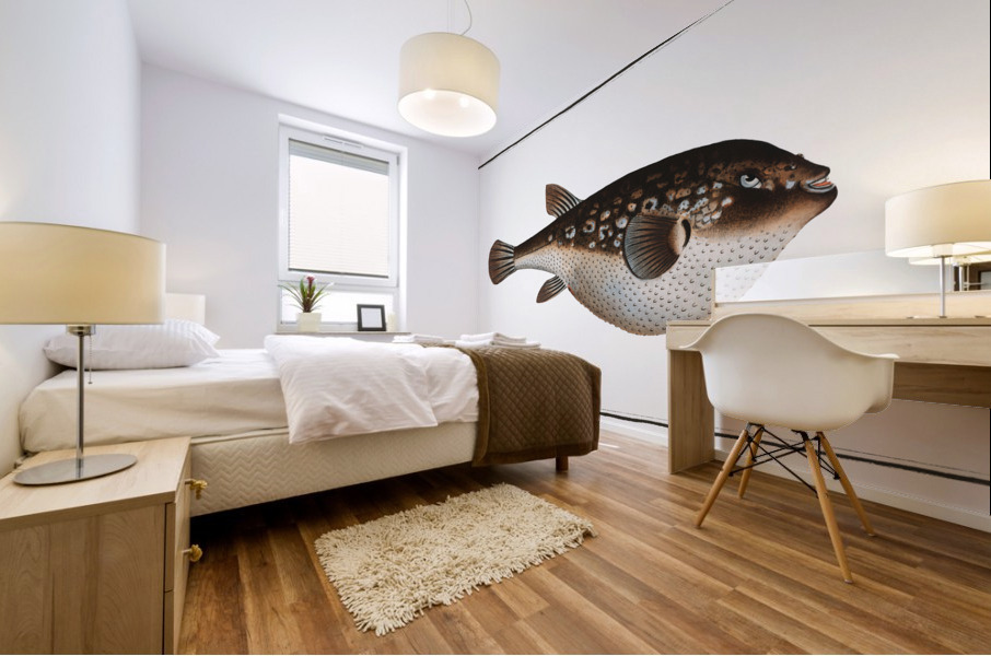 Honkenys Tetrodon Tetrodon Honckenii Mural print