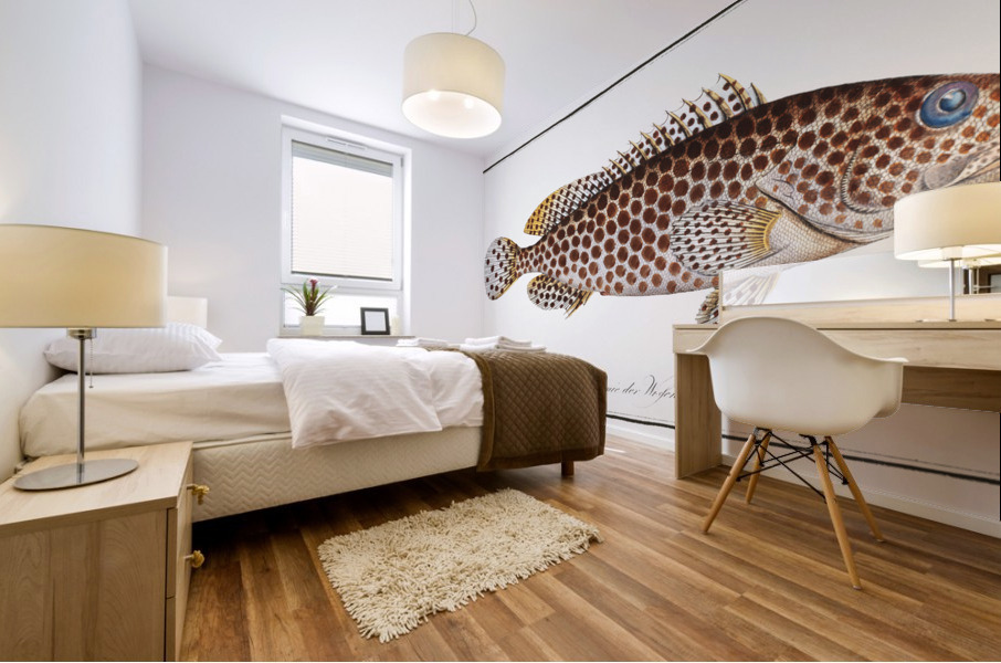 Merra Epinephelus Merra Mural print