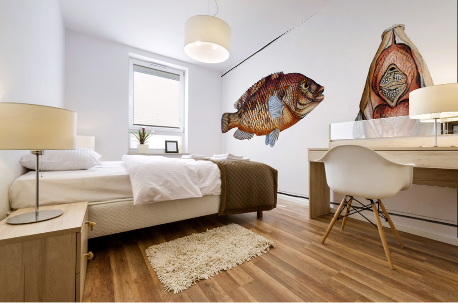 Norvegian Lutian Lutianus Norve Mural print