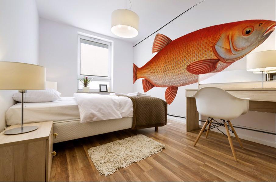 Orf Cyprnus Orfus Mural print