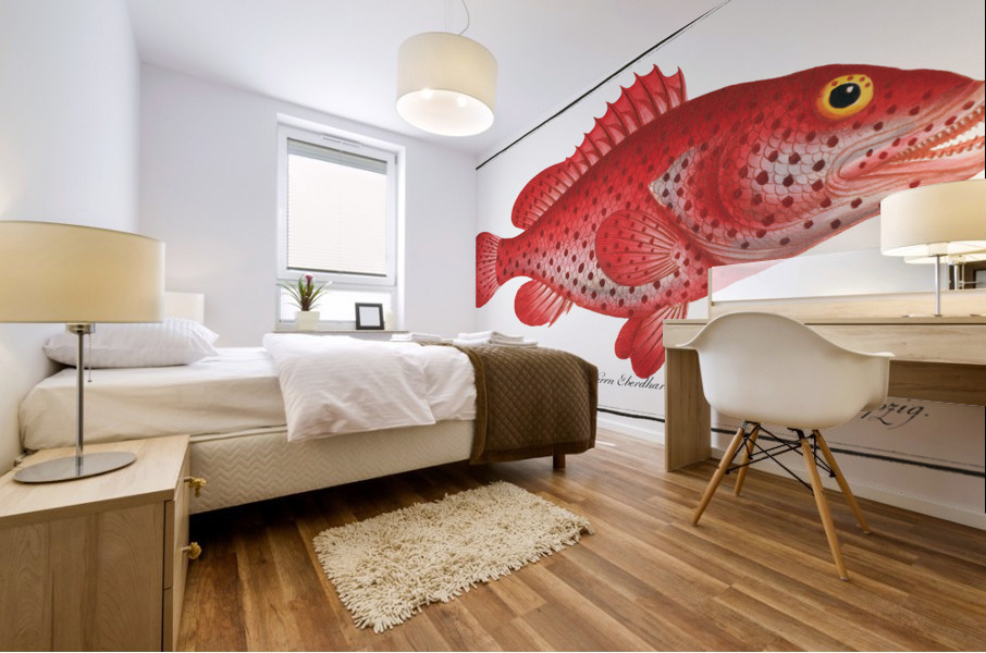 Hind Perca Guttata Mural print