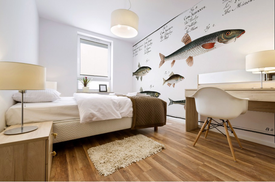 1. Sperlin Cyprinus bipunctatus 2. Bitter-Carp Cyprinus Gobio 3. Bitter-Carp Cyprinus Amarus 4. Bleak Cyprinus Alburnus 5. Minow Cyprinus Phoxinus Mural print
