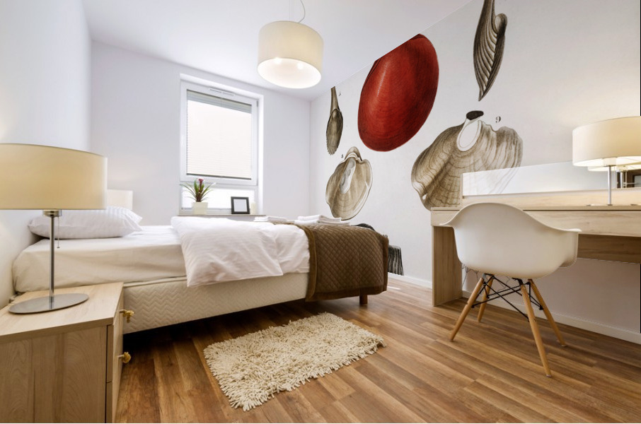 Different types of mollusks Mural print