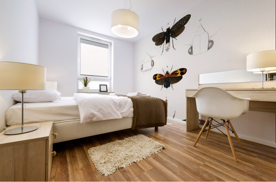 Collection of moths Mural print