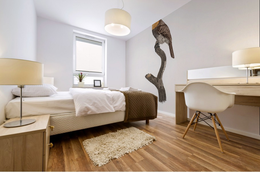 Russet-throated puffbird  Mural print