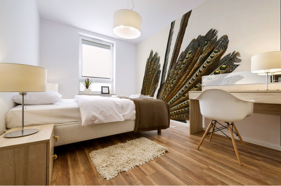 Great argus Phasianus argus Mural print