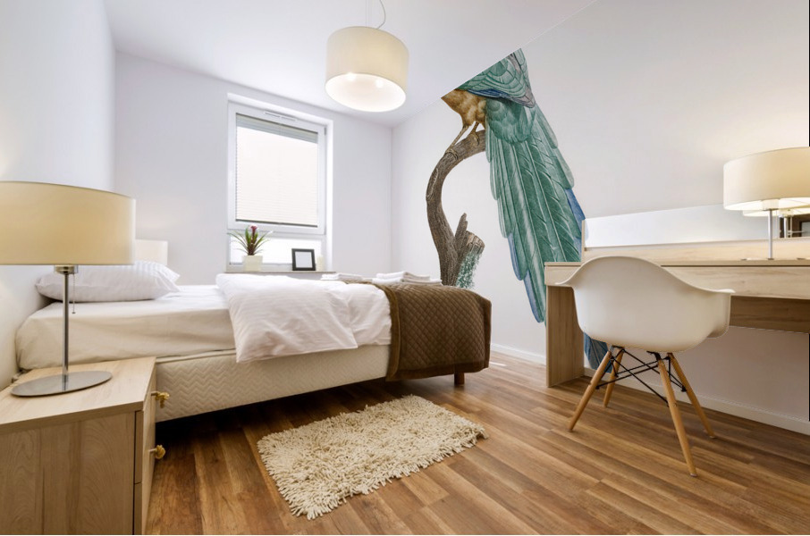 Young motmot  Mural print