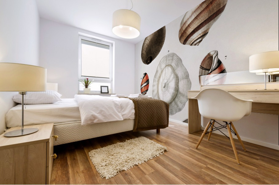 Different types of mollusks Mural print