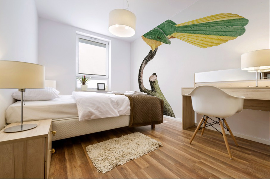 Different types of mollusks Mural print