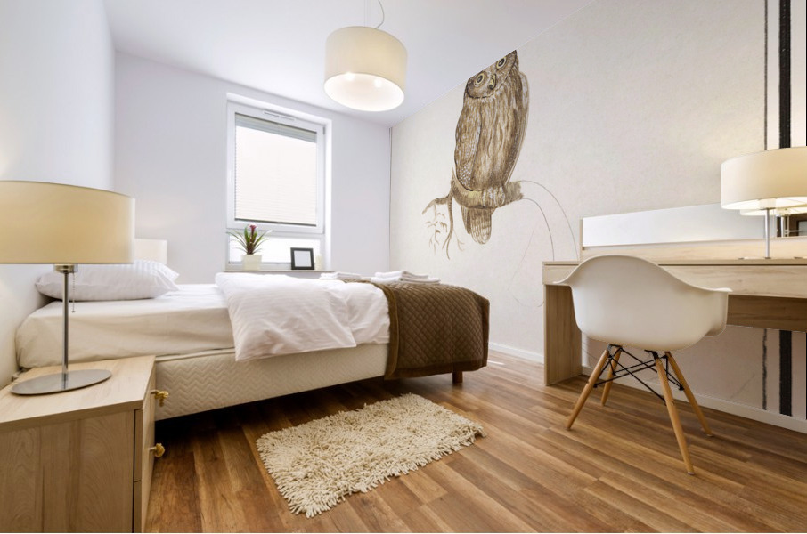 Pygmy owl in vintage style Mural print