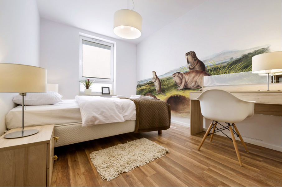 Camas Rat Pseudostoma Borealis  Mural print