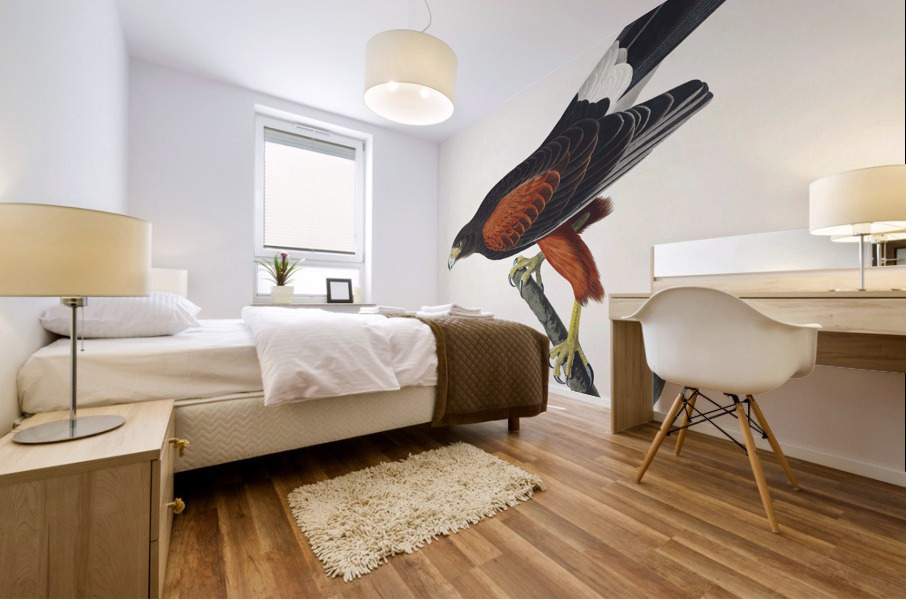 Louisiana Hawk Mural print