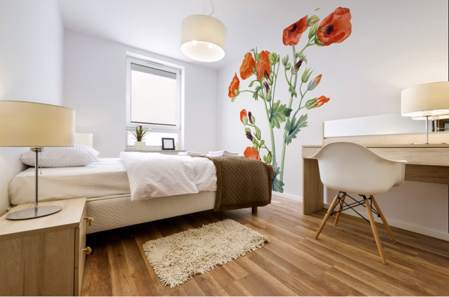 Scarlet Globe Mallow Sphaeralcea grossulariaefolia 1927 Mural print