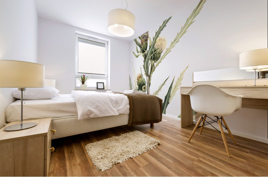 White Thistle Cirsium hookeranum Mural print