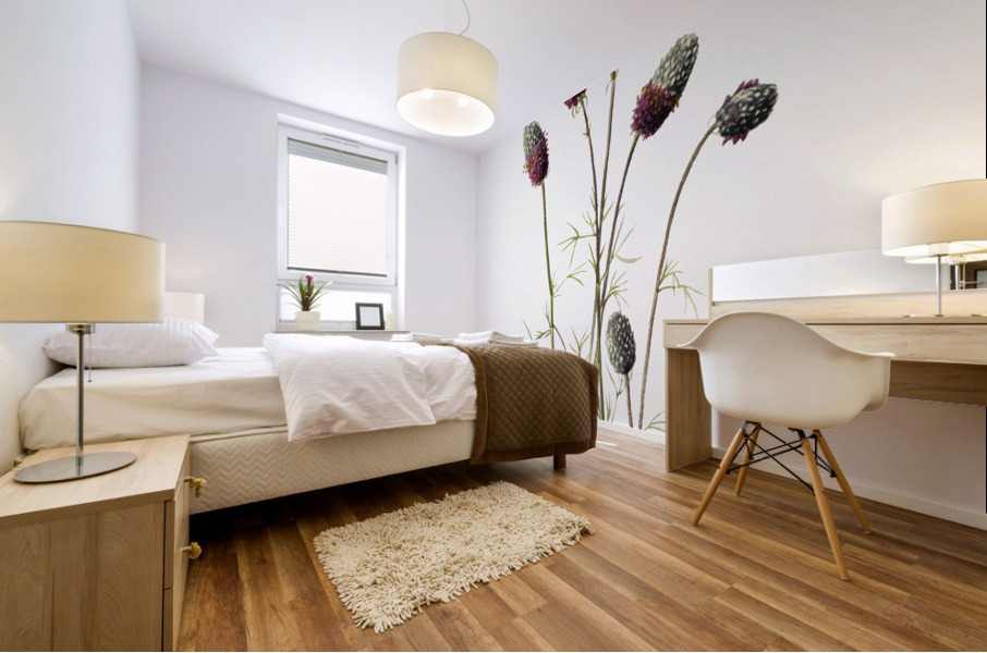 Purple Prairieclover Petalostemon purpureum 1927 Mural print