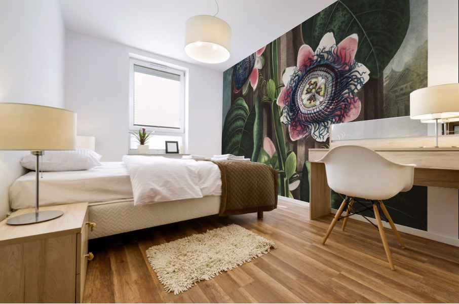 The Quadrangular Passion Flower Mural print