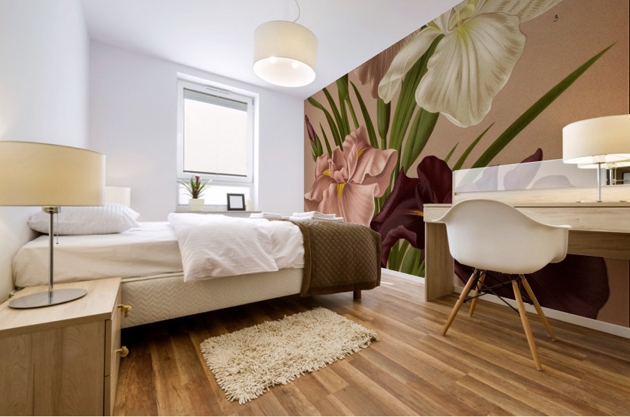 Album van Eeden : Haarlems flora : 1872-1881 Mural print