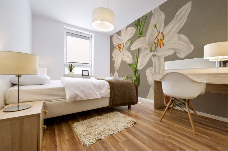 Album van Eeden : Haarlems flora : 1872-1881 Mural print