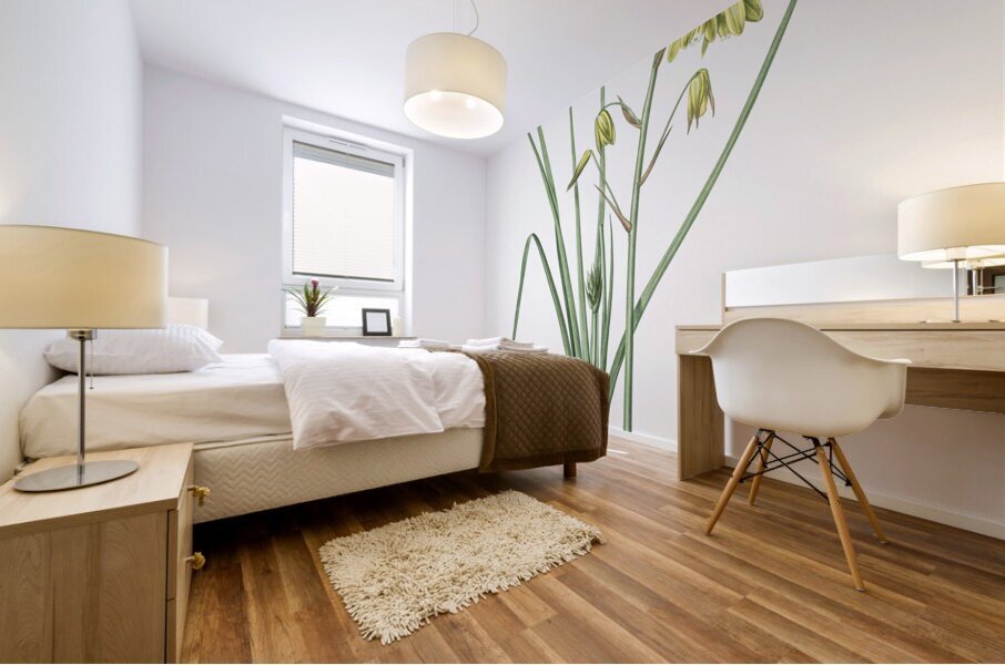 Slime Lily illustration  Mural print