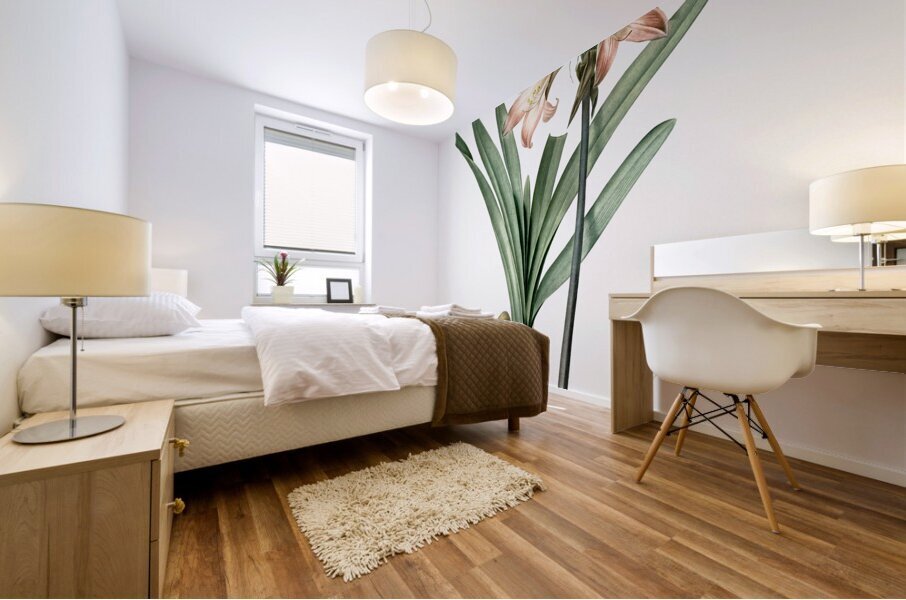 Amaryllis Belladonna illustration  Mural print