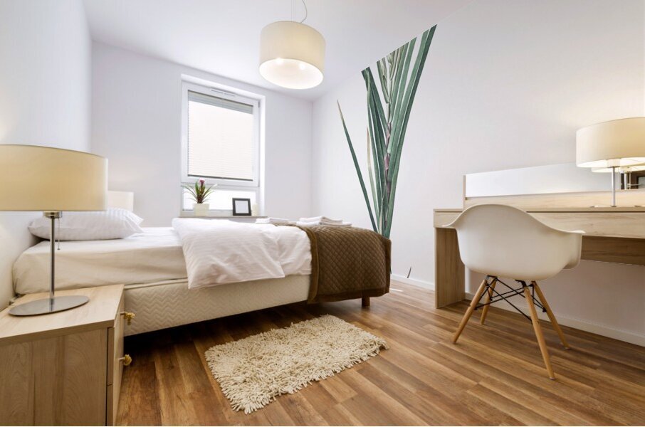 Bokmakierie & tail illustration  Mural print