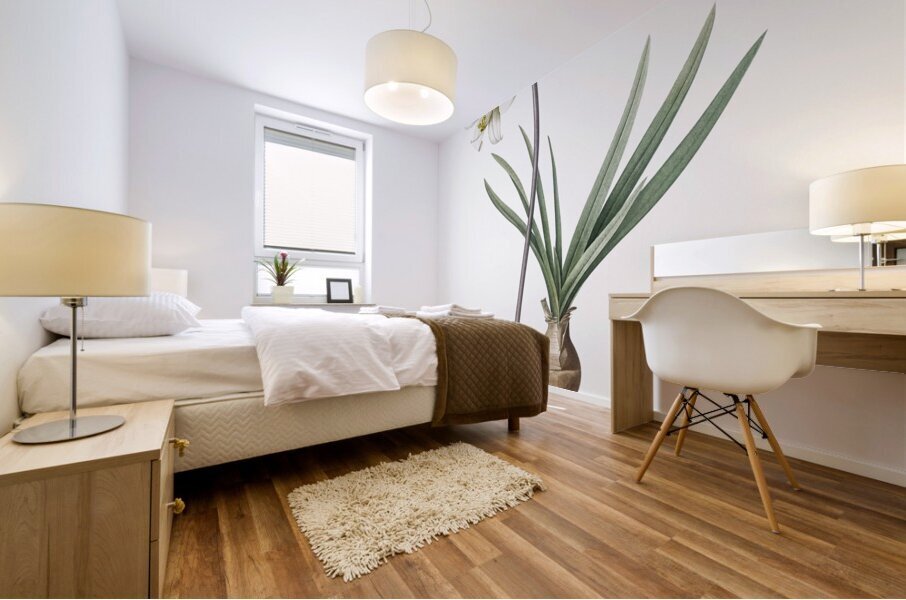 Belladonna lily illustration  Mural print