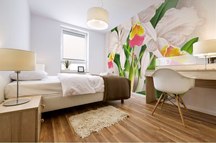 Cattleya kimballiana Mural print