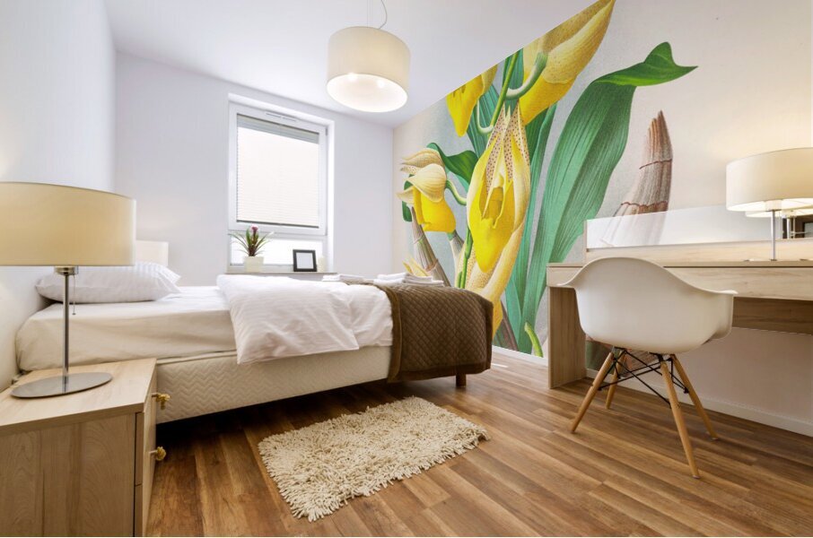 Catasetum macrocarpum Mural print
