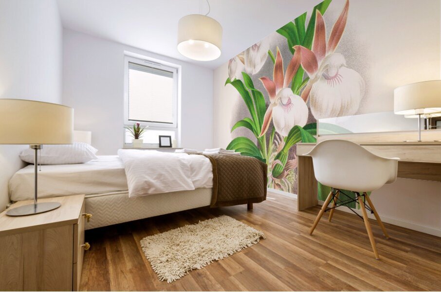 Zygopetalum rostratum Mural print