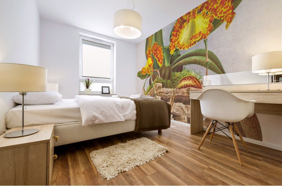 Oncidium kramerianum Mural print