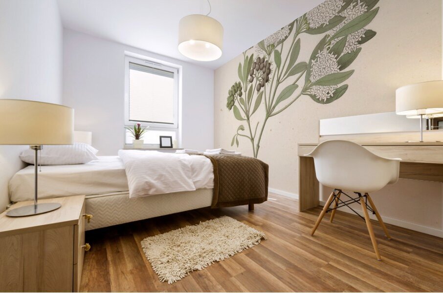 Pavetta caffra [Pavetta lanceolata] 1817 Mural print