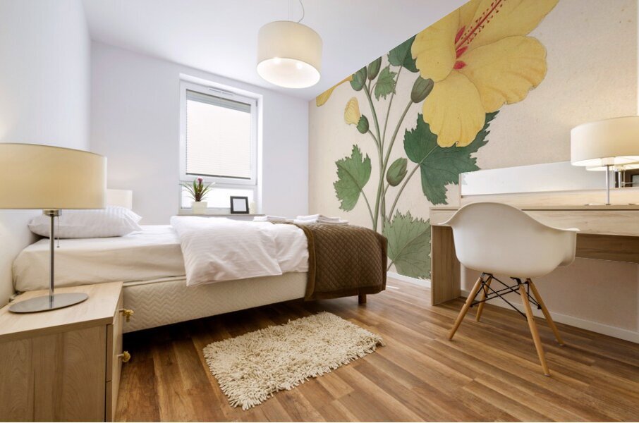 Hibiscus [Hibiscus calyphyllus] 1817 Mural print